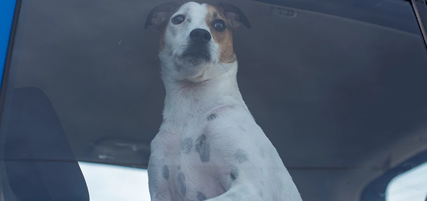 Car Lockout Solutions in Culver City, California