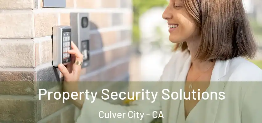  Property Security Solutions Culver City - CA